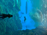 仙台うみの杜水族館に投稿された画像（2020/8/3）