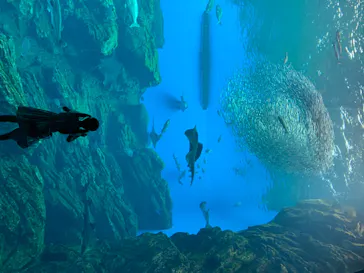 仙台うみの杜水族館に投稿された画像（2020/8/3）