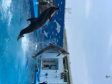 仙台うみの杜水族館に投稿された画像（2020/8/3）