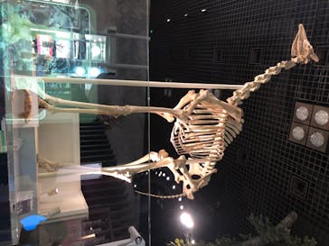 国立科学博物館に投稿された画像（2020/8/3）