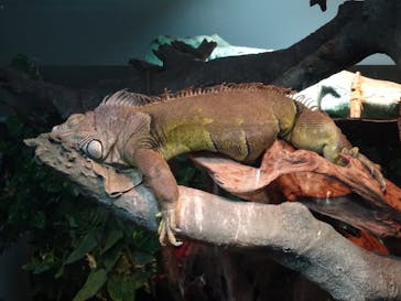 サンシャイン水族館に投稿された画像（2020/8/3）