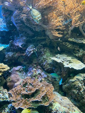 株式会社Gに投稿された画像（2020/8/3）