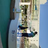 サンシャイン水族館に投稿された画像（2020/8/3）