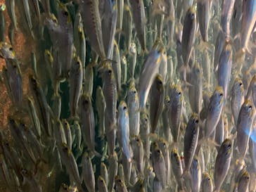 株式会社Gに投稿された画像（2020/8/3）