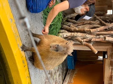 株式会社Gに投稿された画像（2020/8/3）