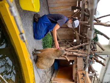 株式会社Gに投稿された画像（2020/8/3）
