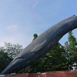 国立科学博物館に投稿された画像（2020/8/3）