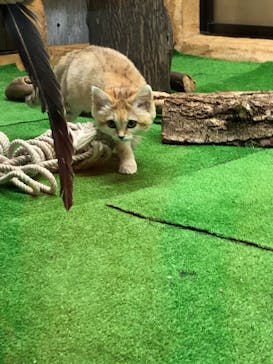 那須どうぶつ王国に投稿された画像（2020/8/3）