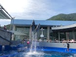 大分マリーンパレス水族館 「うみたまご」に投稿された画像（2020/8/3）