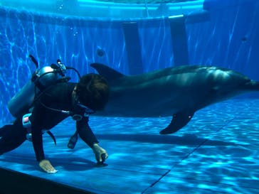 大分マリーンパレス水族館 「うみたまご」に投稿された画像（2020/8/3）