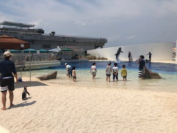 大分マリーンパレス水族館 「うみたまご」に投稿された画像（2020/8/3）