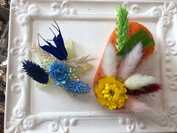 ずこうしつ〜sugamo〜に投稿された画像（2020/8/3）