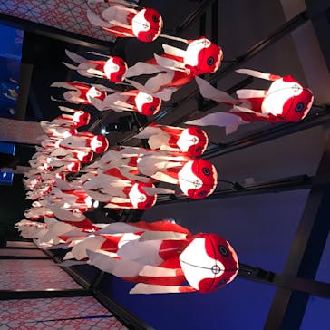 すみだ水族館に投稿された画像（2020/8/3）