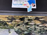 四国水族館に投稿された画像（2020/8/3）