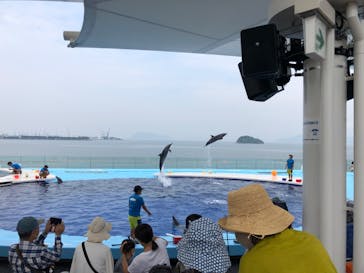 四国水族館に投稿された画像（2020/8/3）