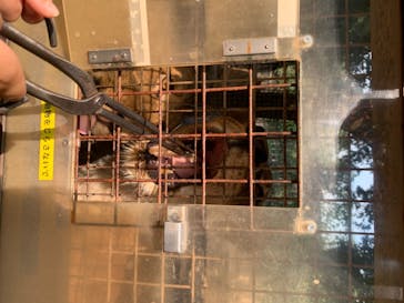 群馬サファリパークに投稿された画像（2020/8/3）