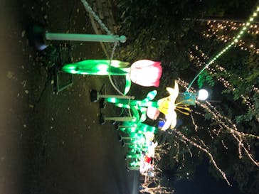 としまえんに投稿された画像（2020/8/3）