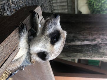 しろとり動物園に投稿された画像（2020/8/3）