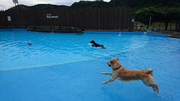 わんダフルネイチャーヴィレッジに投稿された画像（2020/8/3）