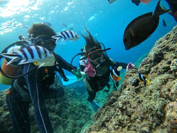 青の洞窟専門店　沖縄ダイビングショップ和に投稿された画像（2020/8/3）