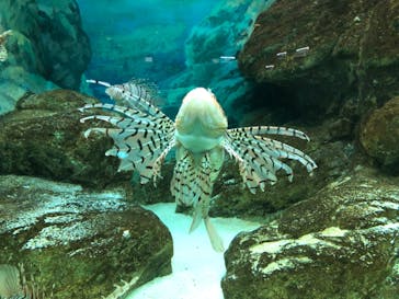 株式会社Gに投稿された画像（2020/8/4）