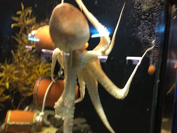 株式会社Gに投稿された画像（2020/8/4）