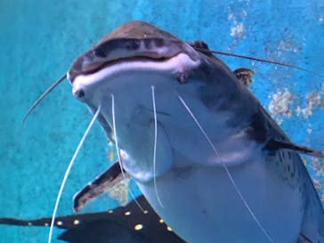 株式会社Gに投稿された画像（2020/8/4）