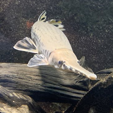 株式会社Gに投稿された画像（2020/8/4）