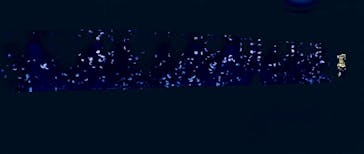 サンシャイン水族館に投稿された画像（2020/8/4）