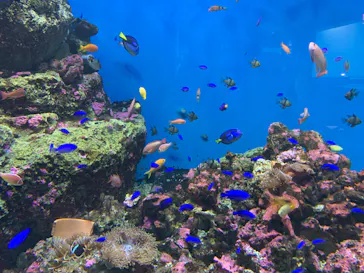 仙台うみの杜水族館に投稿された画像（2020/8/4）