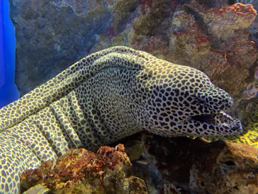 仙台うみの杜水族館に投稿された画像（2020/8/4）