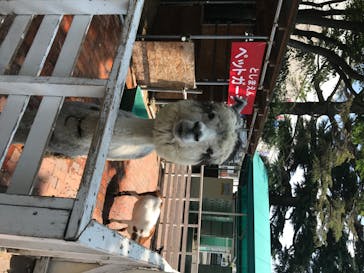 としまえんに投稿された画像（2020/8/4）