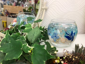 ずこうしつ〜sugamo〜に投稿された画像（2020/8/4）