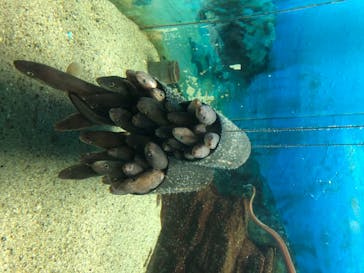 株式会社Gに投稿された画像（2020/8/4）