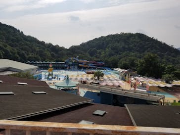 日本モンキーパークに投稿された画像（2020/8/4）