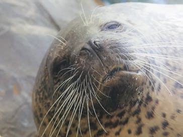 サンシャイン水族館に投稿された画像（2020/8/1）