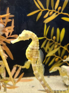 株式会社Gに投稿された画像（2020/8/4）