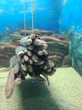 株式会社Gに投稿された画像（2020/8/4）