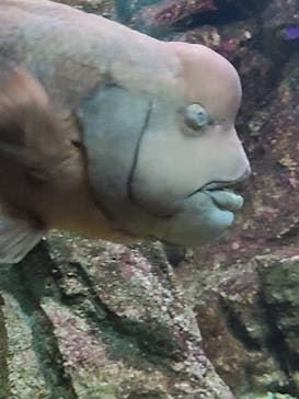 株式会社Gに投稿された画像（2020/8/4）