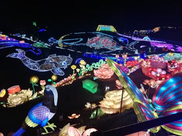 伊豆ぐらんぱる公園に投稿された画像（2020/8/4）