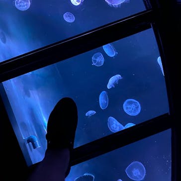 すみだ水族館に投稿された画像（2020/8/4）