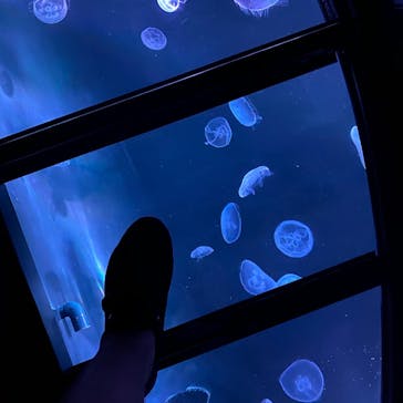 すみだ水族館に投稿された画像（2020/8/4）