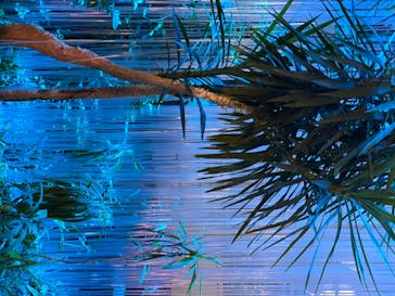 東京サマーランドに投稿された画像（2020/8/4）