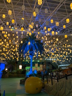 東京サマーランドに投稿された画像（2020/8/4）