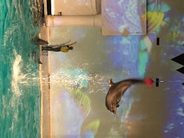 株式会社Gに投稿された画像（2020/8/4）