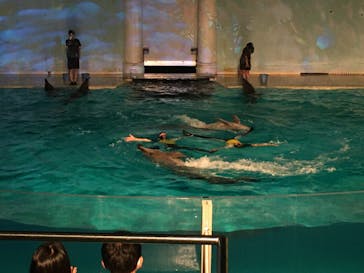 株式会社Gに投稿された画像（2020/8/4）