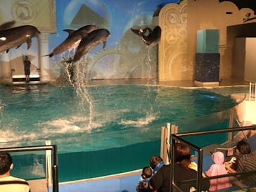 株式会社Gに投稿された画像（2020/8/4）