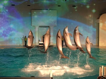 株式会社Gに投稿された画像（2020/8/4）