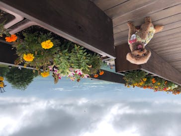 サンメドウズ清里に投稿された画像（2020/8/4）