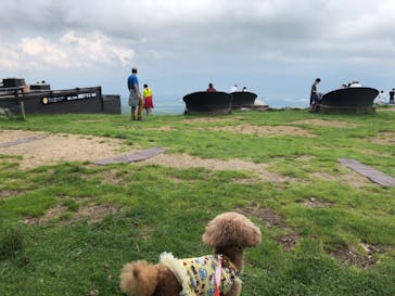 サンメドウズ清里に投稿された画像（2020/8/4）